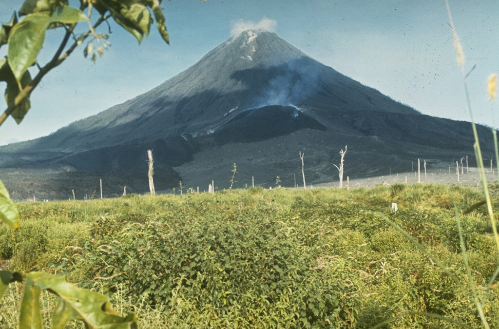 A lava flow descends on the west flank of Arenal volcano on from a degassing vent (Crater A) 6 September 1969. The flow overlies unvegetated terrain at the base of the volcano that was devastated by powerful explosions at the onset of an eruptive period beginning in July 1968. Continuous explosive activity accompanied by slow lava effusion continued from vents at the summit and upper western flank. Photo by Dick Berg, 1969 (courtesy of William Melson, Smithsonian Institution).
