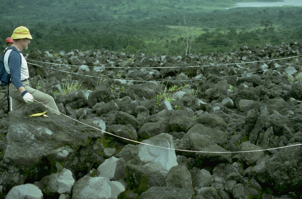 A long-term project by botanists from the Smithsonian Institution studied plant succession on lava flows at Arenal volcano. This field site is located on the west flank. Lake Arenal is visible at the upper right. Photo by William Melson, 1988 (Smithsonian Institution).