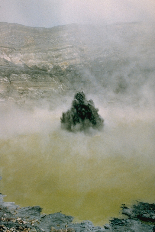 Phreatic eruptions resumed from Poás in June 1987, ejecting lake water and sediments to a maximum reported height of 75 m. This 23 January 1988 photo shows the typical ejection of plumes of gas, ash, and mud above the crater lake. The crater lake disappeared by 19 April 1989 then ash emission began. Phreatic activity began again after rainwater formed a new lake. During May 1989 ash plumes reached heights of 1.5-2 km above the crater. Photo by Gerardo Soto, 1988 (Instituto Costarricense de Electridad).
