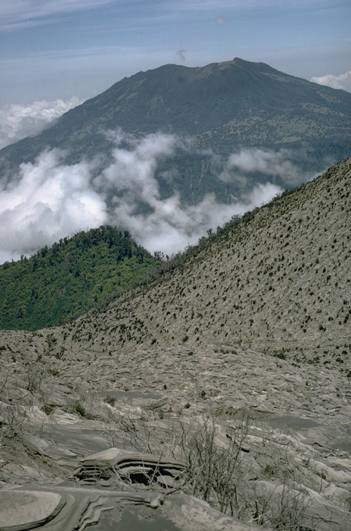 Turrialba is the SE-most Holocene volcano in Costa Rica, seen here from the upper flank of Irazú to its SW. There are three craters in the upper end of a broad summit scarp that opens towards the NE. Photo by William Melson, 1969 (Smithsonian Institution)