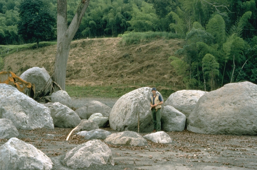A cluster of rounded boulders was deposited on a river terrace by a lahar in the Río Chinchina valley, 59 km WNW of the summit of Colombia's Nevado del Ruiz volcano on 13 November 1985. The boulders were carried within the lahar and deposited against the tree that served as an obstruction to flow. Note the mudline on the tree that marks the upper flow surface of the lahar. Photo by Tom Pierson, 1985 (U.S. Geological Survey).