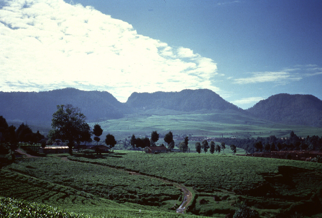 Wayang-Windu, the site of a geothermal prospect, is a lava dome of Quaternary age about 40 km S of Bandung, immediately W of Kamojang volcano. Viewed from the W, the flat-topped Gunung Wayang (center) rises above cultivated lands to its S. Wayang has a 750-m-wide crater open to the west and contains four groups of fumaroles. Gunung Windu (right), 1.6 to the SW, has a 350-m-wide crater open to the ESE. The age of the latest eruptive activity from the Wayang-Windu complex is not known. Anonymous, 1990.