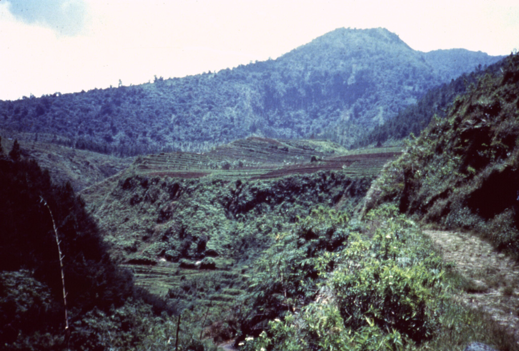 Gunung Ungaran, south of the northern coastal city of Semarang in Java, is at the northern end of a chain of volcanoes extending NNW from Merapi. Early construction took place during the late Pleistocene and Holocene. Ungaran is deeply eroded and has two active fumarole fields on its flanks. Anonymous, 1987.