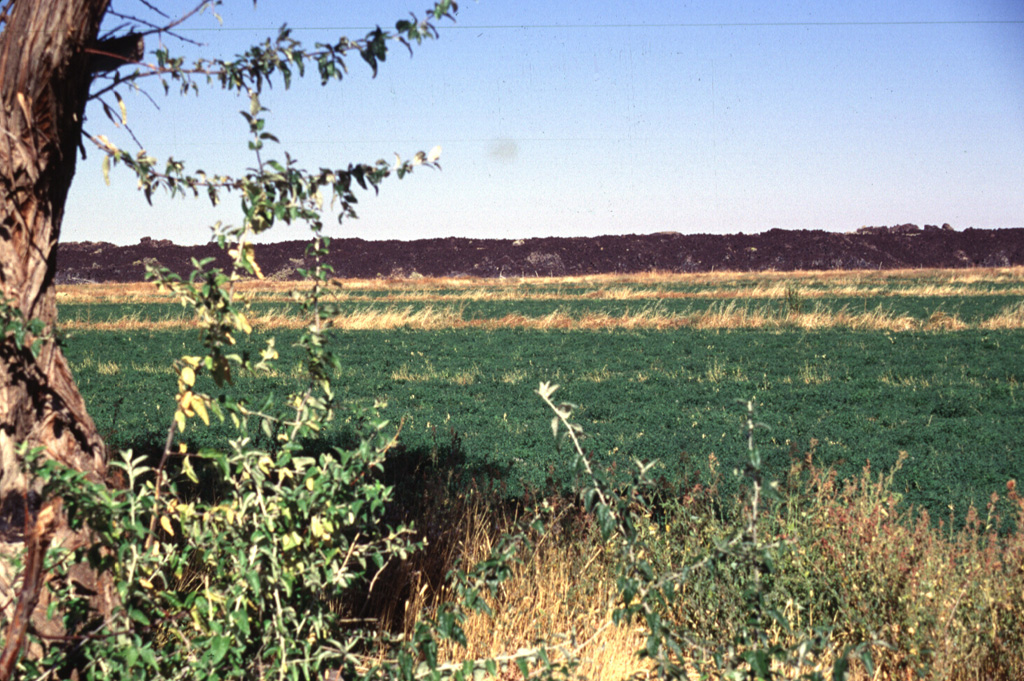 Farmlands encroach on the eastern margin of the Ice Springs lava flow, Utah's youngest.  The 660-year-old lava flow originated from a complex of cinder and spatter cones and extends a maximum distance of 8 km from its source.  The flow contains abundant xenoliths of partially fused granite. Photo by Lee Siebert, 1996 (Smithsonian Institution).