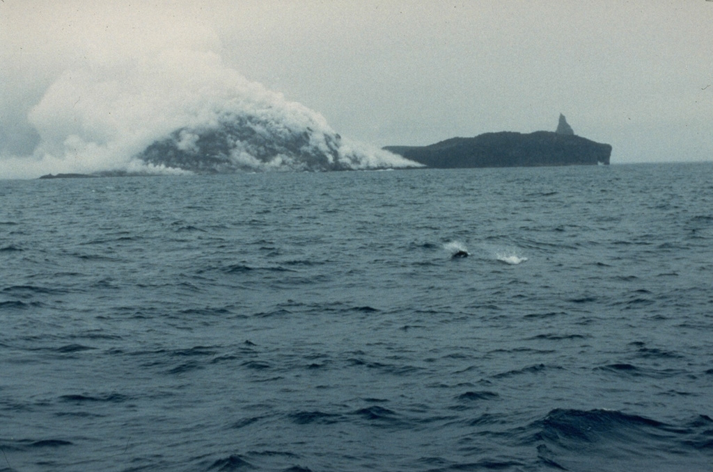 Plumes produced by degassing of a growing lava dome rise from the northern tip of Bogoslof on 21 July 1992. The 1992 eruption was first observed on 6 July when pilots saw steam and ash rising above the volcano. On 20 July an ash plume rose to 8 km. A new lava dome grew to a height of 100-m by the time the eruption ended in late July. The 1927 lava dome forms the dark land to the right with the pinnacle of Castle Rock behind it. Photo by Larry Shaishnikoff, 1992 (courtesy of John Reeder, Alaska Div. Geology & Geophysical Surveys).