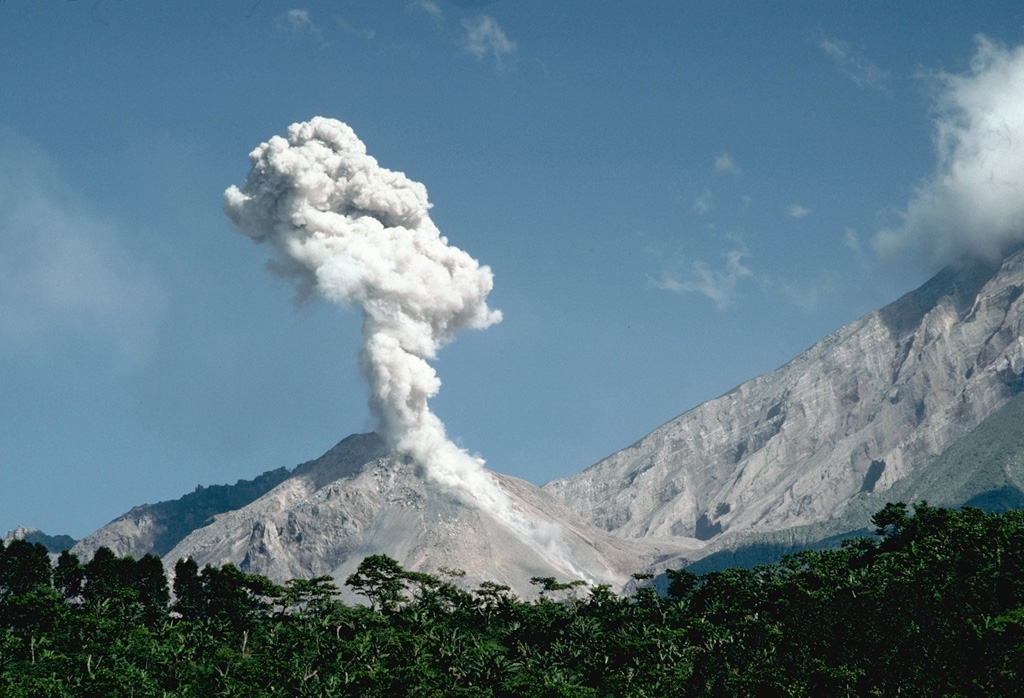 An ash plume rises above Caliente in the Santiaguito lava dome complex in November 1993 as a small pyroclastic flow descends its eastern flank. The headwall of the 1902 crater on the Santa María SW flank is to the right. The lava dome complex began growing in 1922 from the Caliente vent at the base of the 1902 explosion crater. Caliente has been frequently active since the early 1970s. Photo by Lee Siebert, 1993 (Smithsonian Institution).