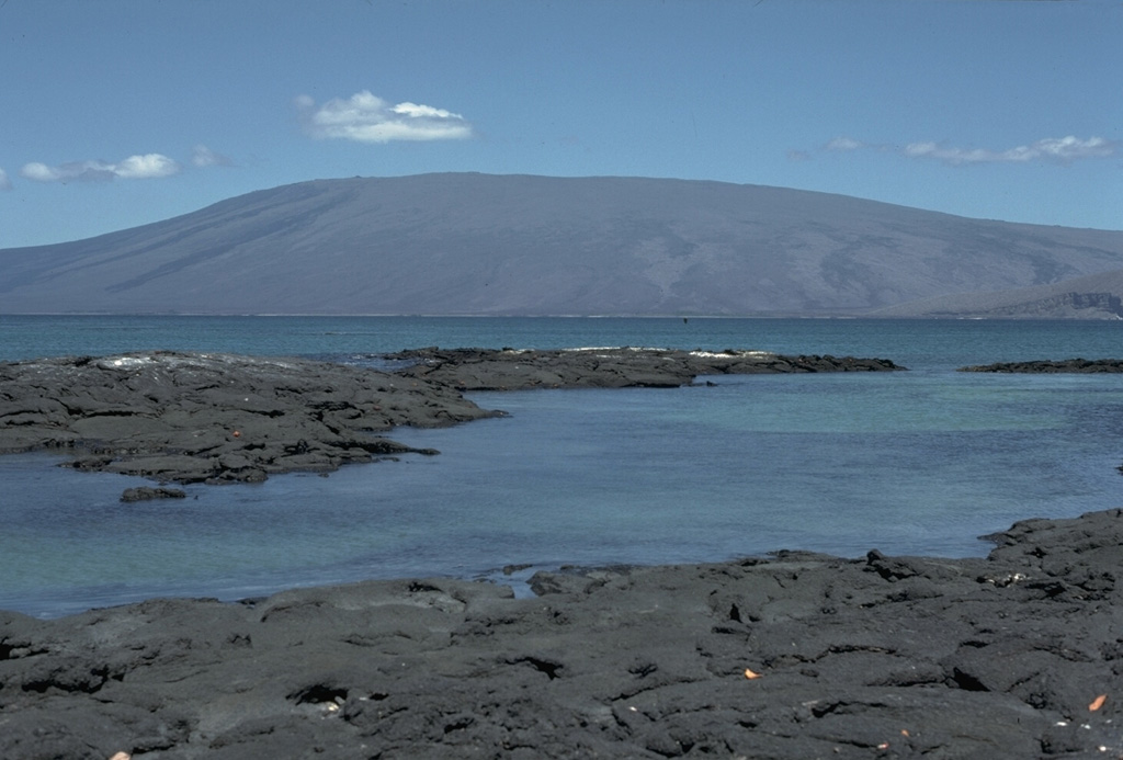 Volcán Darwin, named after the Charles Darwin, seen above a narrow channel opposite Point Espinosa on the NE tip of Fernandina Island. Darwin volcano has 5-km-wide summit caldera that is largely filled by lava flows. The most recent summit activity produced several small lava flows from vents on the eastern caldera floor, and NE and SE caldera rims. Two breached tuff cones on the SW-flank coast, Tagus and Beagle, were a prominent part of Darwin's geological studies in the Galápagos Islands. Photo by Lee Siebert, 1978 (Smithsonian Institution).