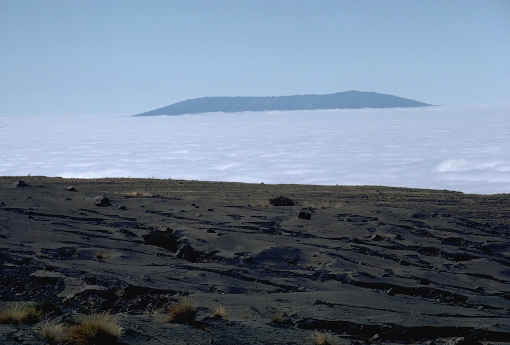 The broad shield volcano of Sierra Negra at the southern end of Isabela Island rises above a sea of clouds across from the tephra-mantled caldera rim of Fernandina volcano.  Sierra Negra is the largest, but lowest-angle shield volcano on Isabela.  The summit of the volcano contains a shallow 7 x 10.5 km caldera that is the largest of the Galápagos Islands.  Sierra Negra is one of the most active of the Isabela Island volcanoes.      Photo by Lee Siebert, 1978 (Smithsonian Institution).