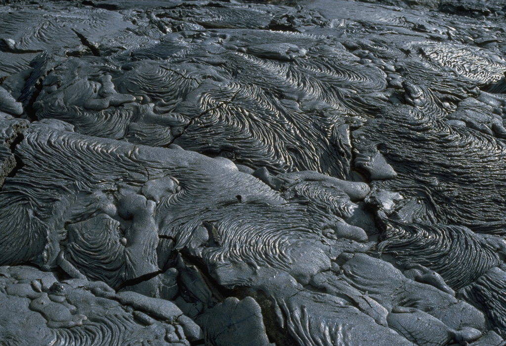 An extensive field of spectacular pahoehoe lava flows is located near Sullivan Bay on Santiago Island.  The fresh, sparsely vegetated flows cover an area of more than 50 km2 along the SE coast of the island.  Eruptions occurred at SE Santiago in 1897 and 1904-06.  A small lava shield 3.5 km inland from Cabo Trenton on the SE tip of the island was the principal vent of these flows. Photo by Lee Siebert, 1978 (Smithsonian Institution).