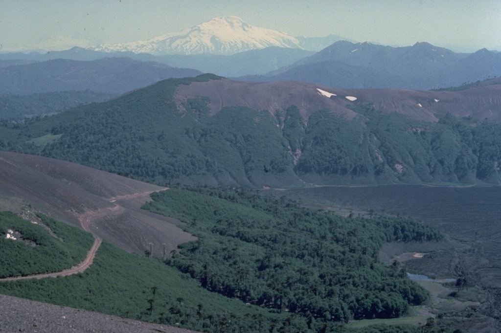 Snow-capped Callaqui volcano rises in the distance north of the foreground slopes of Lonquimay volcano.  The dark area at the right in this January 1989 view is a new lava flow from a NE-flank eruption of Lonquimay that began on December 25, 1988.  The lava flow split into two lobes, the Laguna Verde lobe (seen here) and the Río Lolco lobe, which eventually traveled 10 km to the NE.  Callaqui volcano in the background is another historically active volcano of the central Chilean Andes. Copyrighted photo by Katia and Maurice Krafft, 1989.