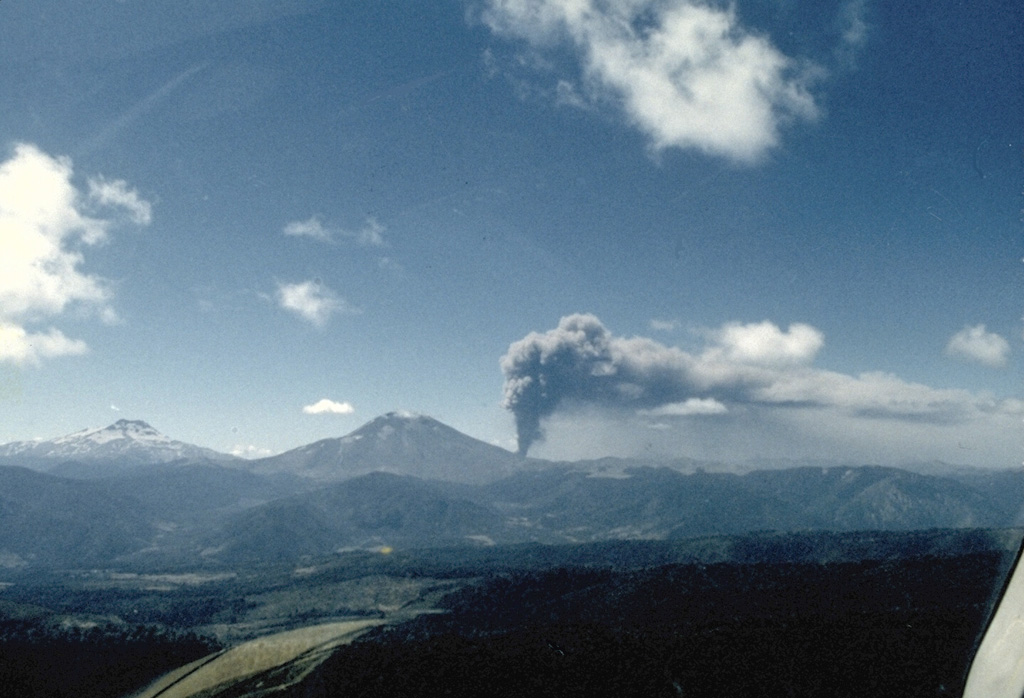 An eruption plume rises above Navidad (Christmas) cone on the NE flank of Lonquimay volcano (left center) on January 15, 1989.  The eruption began on Christmas day, 1988, and lasted over a year.  A 200-m-high cinder cone was formed and a lava flow that originated from Navidad cone traveled 10 km down the NE flank.  Neighboring Tolguaca volcano appears at the left in this view from the WSW. Photo by Hugo Moreno, 1989 (University of Chile).