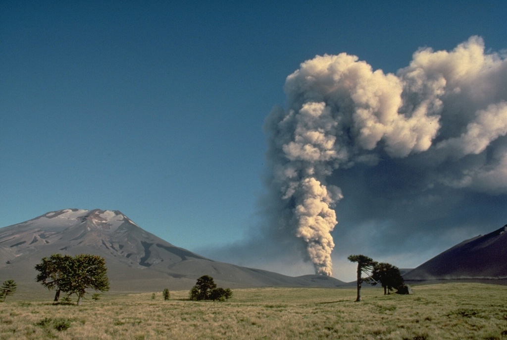 An eruption plume towers above Navidad cinder cone on the NE flank of Lonquimay volcano (left) in January 1989.  The eruption began on December 25, 1988 along a NE-trending rift zone about 3.5 km from the summit.  On December 27, the eruption plume reached 9-km altitude and lava effusion began, producing a flow that traveled 4.5 km by January 4.  Advance of the terminus of the flow slowed after April 1989, but lava effusion and moderate explosive activity continued for more than a year before ending in January 1990.  Copyrighted photo by Katia and Maurice Krafft, 1989.