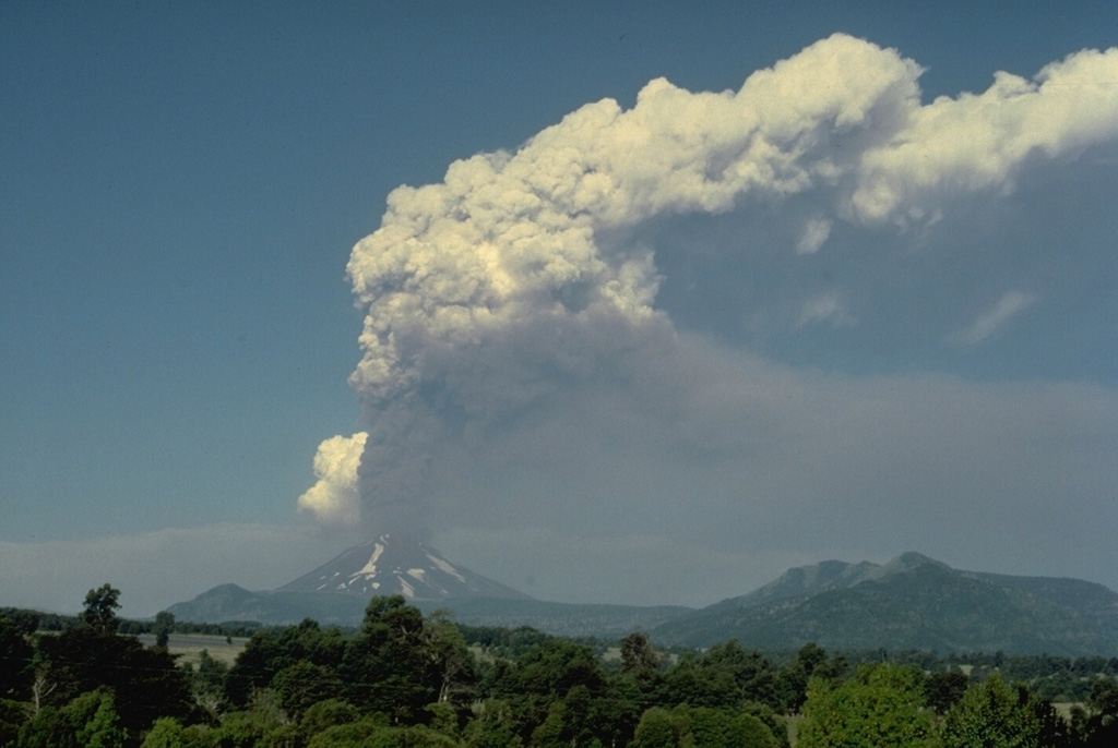 An eruption plume towers above Lonquimay volcano in January 1989.  In this view from the SW, the plume appears to originate from the summit crater of Lonquimay, but the eruptive vent actually is located on the NE flank, 3.5 km from the summit.  During this eruption, which began on Christmas day, 1988, and lasted until January 1990, a new cinder cone (Navidad) was formed and a lava flow traveled 10 km down the NE flank. Copyrighted photo by Katia and Maurice Krafft, 1989.
