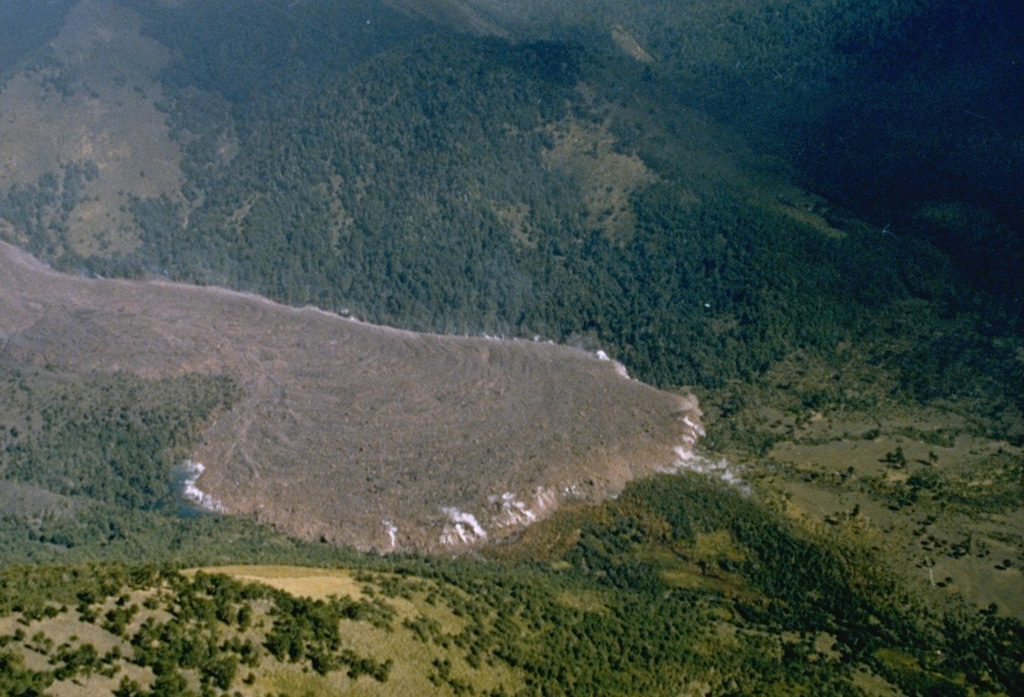 A steaming lava flow, 30-35 m thick and 1-km-wide, originating from Navidad cinder cone on the NE flank of Chile's Lonquimay volcano advances down the Río Lolco valley. By the time of this 25 March 1989 photograph, the flow had traveled about 7 km. Lava effusion began on 27 December 1988, two days after the beginning of an eruption that lasted until January 1990. The velocity of the slow-moving flow front decreased exponentially with distance from the vent. By the end of the eruption the lava flow reached 10 km from the vent and had a volume of 0.23 km3. Photo by Hugo Moreno, 1989 (University of Chile).