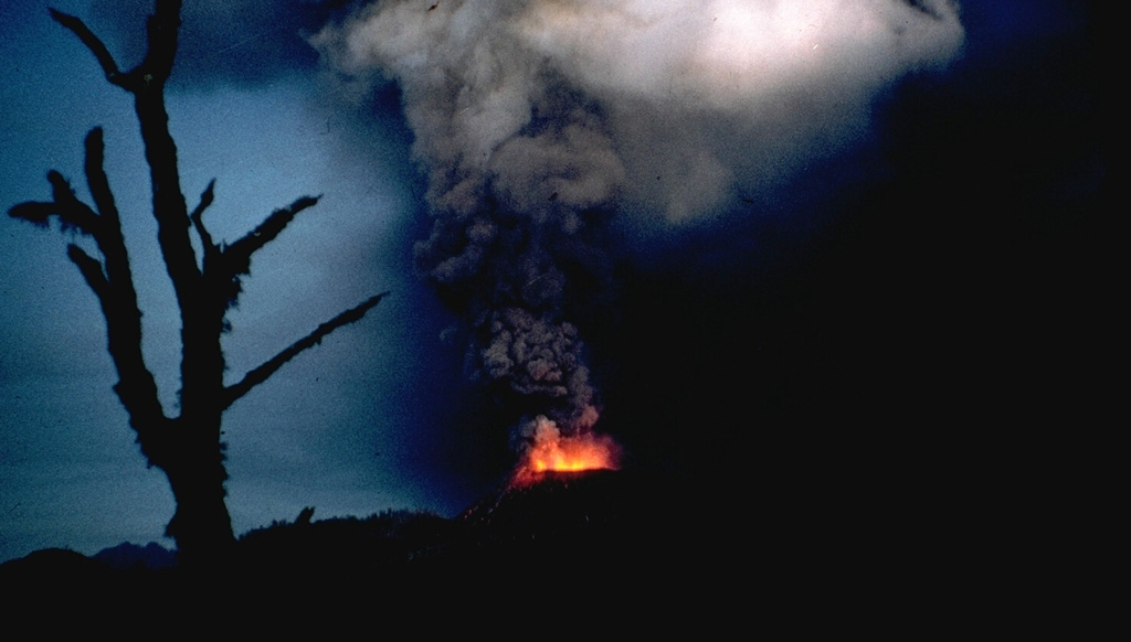 Incandescent ejecta are visible at the base of a strombolian eruption column from Volcán Mirador in 1979.  The eruption began on April 14 at the site of a prehistorical cinder cone.  Almost constant explosive activity produced a new 200-m-high cinder cone, Volcán Mirador, and deposited ash over agricultural areas, prompting the evacuation of 125 people living nearby.  Short lava flows traveled to the SE and NE in April and May before the eruption ended on May 20.   Photo by Hugo Moreno, 1979 (University of Chile).