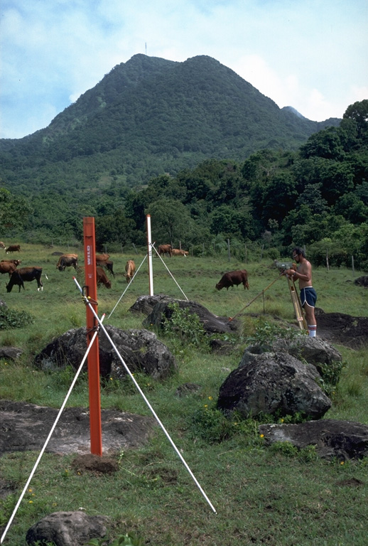 Scientists take precision leveling measurements on the west flank of Soufrière Hills volcano on Montserrat Island in 1985.  These measurements, made prior to an eruption that began in 1995, provided baseline data essential for detecting deformation of the volcano associated with the eruption.  The cattle in this pastoral scene are grazing on the boulder-littered surface of pyroclastic-flow deposits from earlier eruptions of Soufrière Hills.  The hill in the background is Gage's lava dome, the NW-most of a series of lava domes in the summit region. Photo by Richard Fiske, 1985 (Smithsonian Institution).