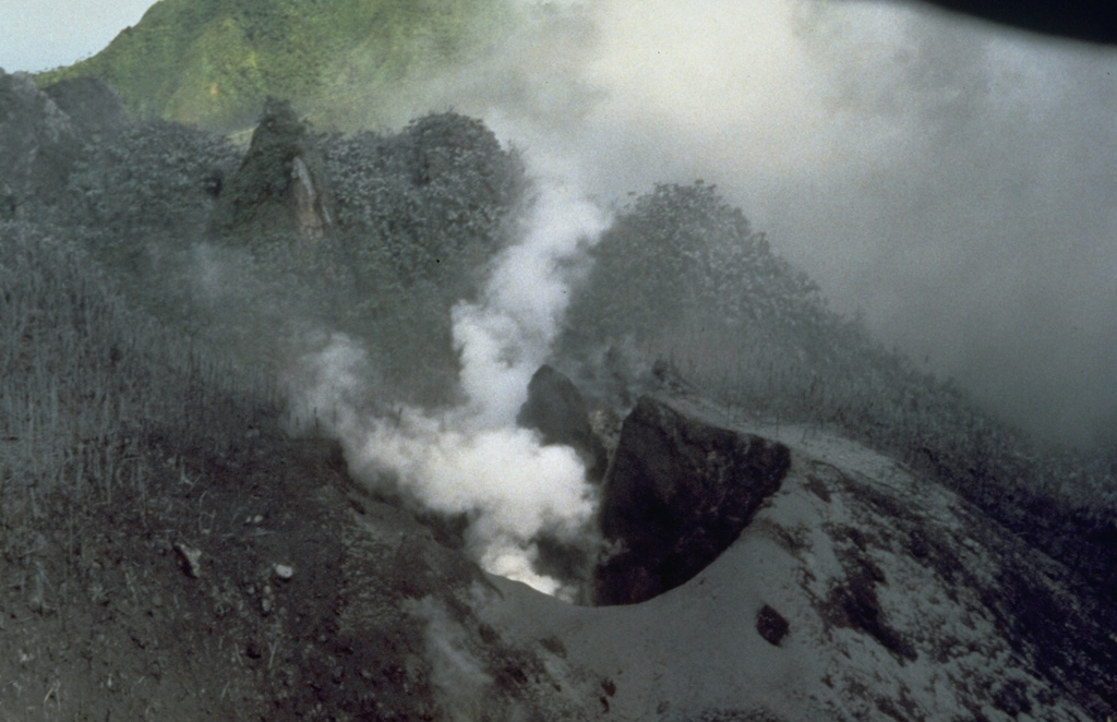 The first explosion of the eruption of Soufrière Hills that began in 1995 blasted a new crater on the NW side of Castle Peak lava dome in the center of English's Crater.  Steam rises from the new crater in this August 4, 1995, view from the NW, and a coating of gray ash blankets vegetation around the vent.  A second crater was formed on July 28 on the SW side of the dome.  It was one of several that were created during phreatic eruptions that preceded growth of a new lava dome beginning in November 1995. Photo by Tom Casadevall, 1995 (U.S. Geological Survey).