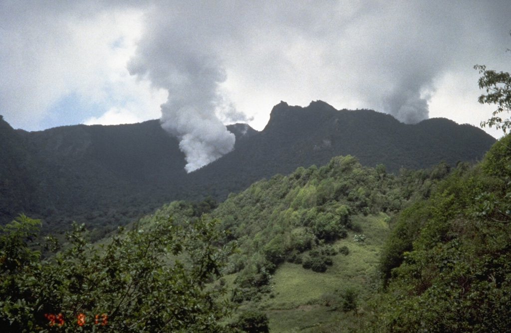 Steam rises from two vents formed in the early stages of an eruption of Soufrière Hills volcano that began on July 18, 1995.  The plume from the July 18 vent rises above Castle Peak lava dome on the right skyline.  The vigorous plume on the left is from a vent formed on July 28 in the moat between the dome and the south wall of English's Crater.  Several more craters were formed prior to the onset of growth of a new lava dome in November 1995. Photo by Cynthia Gardner, 1995 (U.S. Geological Survey).