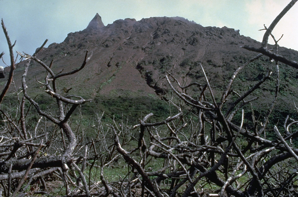 La Soufrière, the summit lava dome of La Soufrière de la Guadeloupe volcano, was formed at the end of a major magmatic eruption about 500 years ago.  This 1981 photo shows the craggy andesitic lava dome from Savane à Mulets, SW of the summit. Copyrighted photo by Katia and Maurice Krafft, 1981.