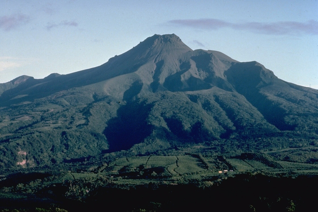 Mont Pelee, seen here from the south, has a complex summit morphology.  The eastern rim of the summit crater, the 1-km-wide Caldeira de l'Etang Sec, forms the notch just to the right of the summit.  This crater cuts an edifice that was constructed within a larger horseshoe-shaped caldera, breached to the SW.  It was formed during the Pleistocene as a result of a massive volcanic landslide.  Two historical lava domes largely fill the Caldeira de l'Etang Sec.  The 1929 lava dome forms the summit; the 1902 lava dome is out of sight behind it.  Copyrighted photo by Katia and Maurice Krafft, 1981.