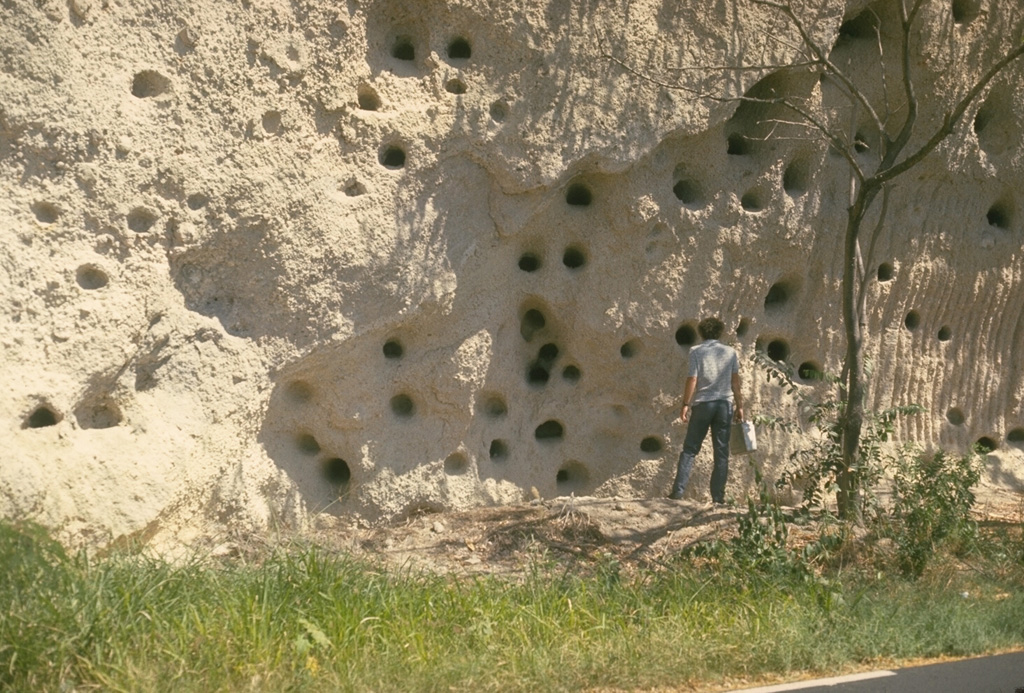 This photo portrays an unusual combination of geology and history.  The light-colored deposits in this outcrop south of St. Pierre are pyroclastic-flow deposits similar to those of eruptions that destroyed the city in 1902.  The abundant large holes in the outcrop are not a volcanological phenomenon, but were produced by cannon balls blasted into the unconsolidated deposit during British-French wars for control of the island of Martinique.  Photo by Richard Fiske, 1977 (Smithsonian Institution).