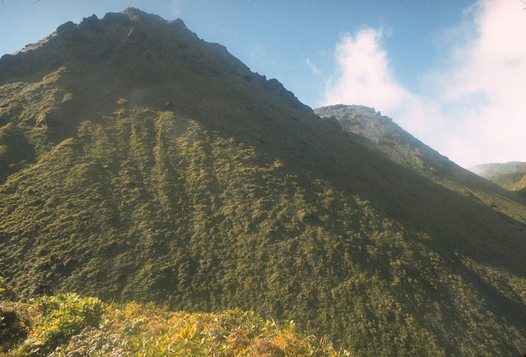 Two lava domes fill much of the Caldiera de l'Etang Sec crater at the summit of Mount Pelee.  The lava dome at the left, seen from the east rim of the crater, was formed during an eruption that began in 1929.  The vegetated knob halfway down the right skyline is a lava dome from the 1902 eruption.  The 1929 eruption was similiar to that of 1902, but smaller in scale.  After explosive removal of part of the 1902 dome, growth of a new dome began in January 1930.  Pyroclastic flows accompanied dome growth until the end of 1932. Photo by William Melson, 1973 (Smithsonian Institution).