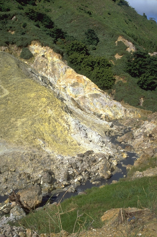 Hydrothermally altered rocks are exposed over a wide area in the Sulphur Springs thermal area of Qualibou volcano.  The thermal area, located in a valley SW of Terre Blanche lava dome, contains 11 hot pools, some of which occasionally produce small steam-driven fountains about 1-m high.  Sulphur Springs was the site in 1766 of the only historical eruption of Qualibou.  A small explosion deposited ash and cinders over a wide area. Photo by Lee Siebert, 1991 (Smithsonian Institution).