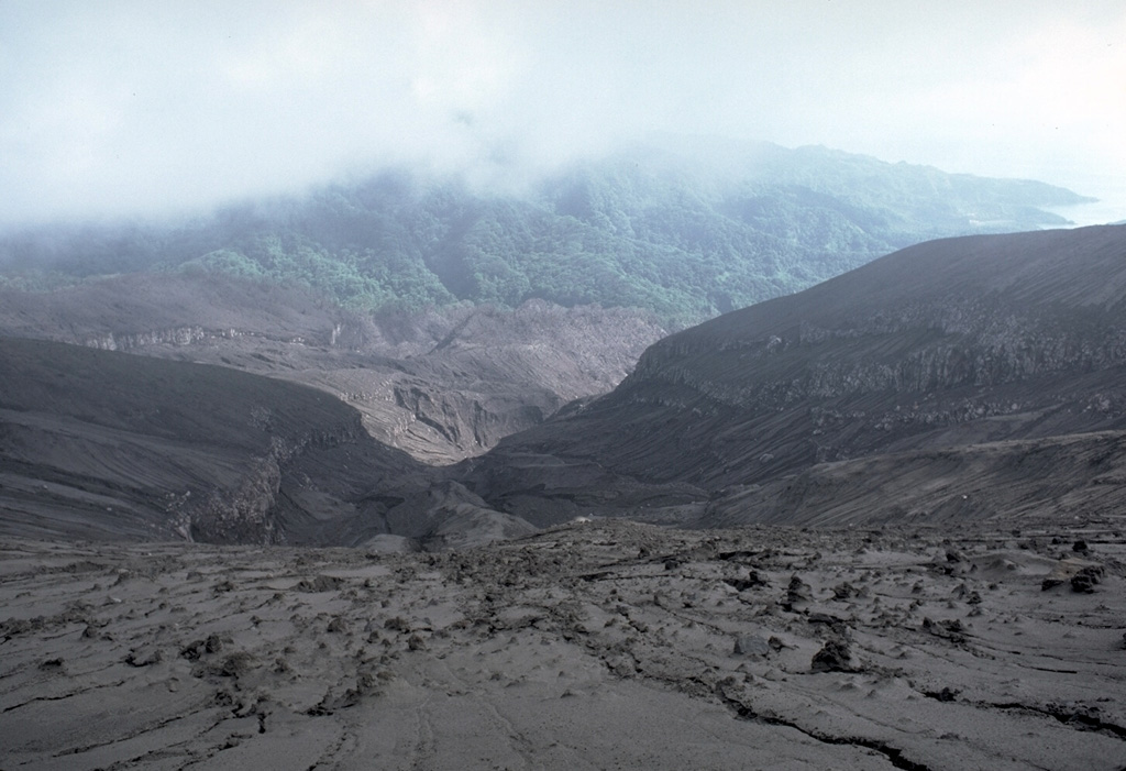 The barren area in the foreground that extends down valleys to the coast was swept by pyroclastic flows during the 1979 eruption of Soufrière volcano on St. Vincent.  This photo was taken on June 1979 from the south crater rim, looking towards the west coast off the island at the right.  Explosive eruptions April 13-25 were followed by lava dome growth from May to October. Photo by Richard Fiske, 1979 (Smithsonian Institution).