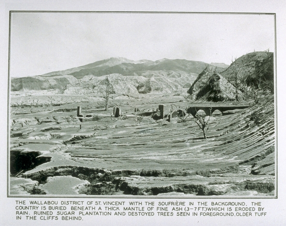 A powerful explosive eruption on 7 May 1902, the day before the much better known eruption of Pelèe on Martinique, devastated the northern part of St. Vincent.  This view from the Wallibou valley with the summit of Soufrière volcano to the NE, shows the effect of pyroclastic flows that swept the flanks to the sea.  he eruption killed 1565 people and caused extensive damage, including that to the sugar mill in the foreground.  Intermittent explosive eruptions continued until March 1903. From the collection of Maurice and Katia Krafft.