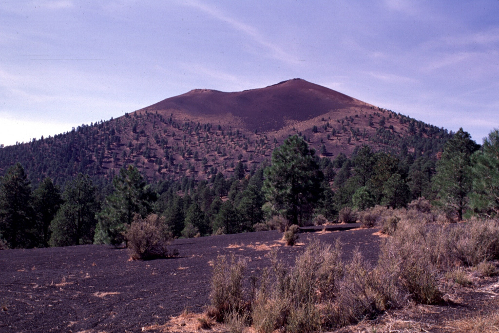 Sunset Crater, seen here from the NE, is the centerpiece of Sunset Crater National Monument.  During the 1920's, geologist H.S. Colton successfully lobbied to prevent a Hollywood movie company from blowing up the cone to simulate a volcanic eruption.  The monument was subsequently established to protect the cone.  The proximal part of the Kana-a lava flow, erupted from a vent on the NE flank, is buried here by tephra.  The flow was the longest from the Sunset Crater vent system and traveled 11 km to the NE. Photo by Lee Siebert, 1996 (Smithsonian Institution).