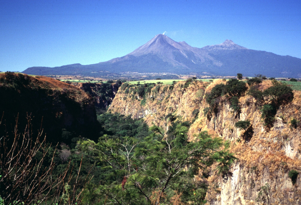 Repeated flank failure events from both Volcán Colima (left) and Nevado de Colima (right) have lefta thick apron of debris avalanche deposits on three sides of the complex. This steep-sided, 120-m-deep canyon wall at La Platanera, SE of Colima, exposes deposits inferred to represent at least seven major debris avalanches. The vegetation line on Colima volcano marks the largely buried rim of a horseshoe-shaped collapse scarp that has been the source of one or more recent avalanches. Photo by Lee Siebert, 1997 (Smithsonian Institution).