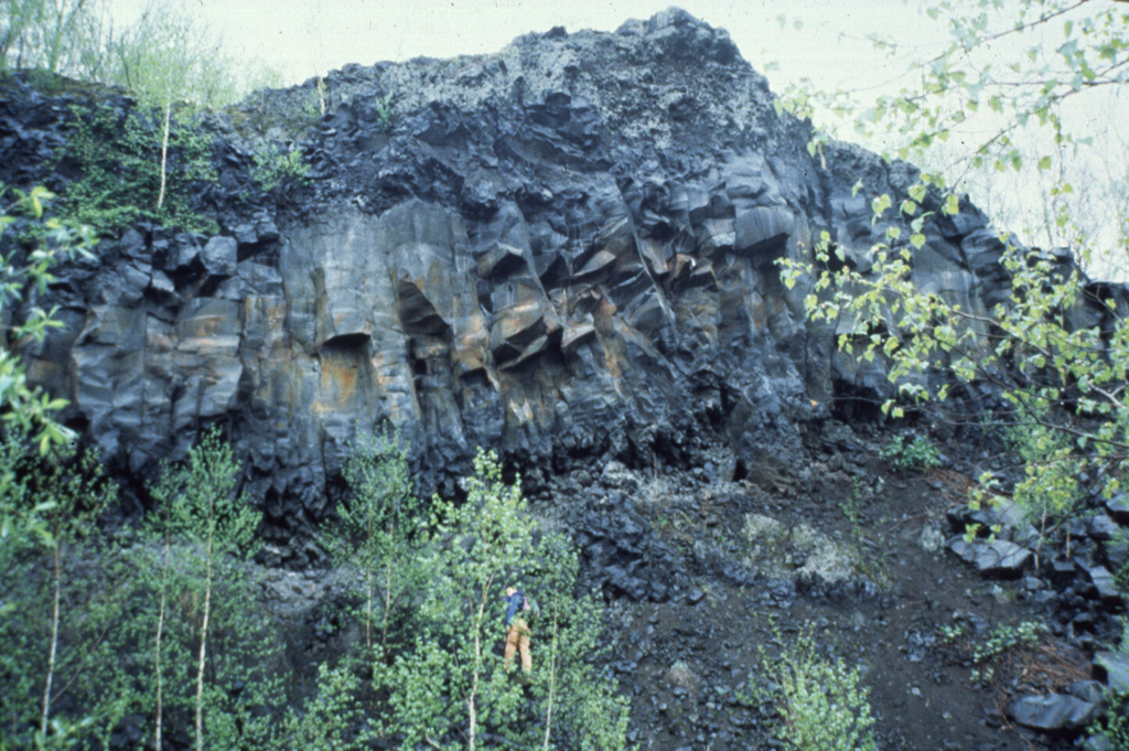 The Fukidashi lava flow from Yoteizan in SW Hokkaido descended to the NE foot of the volcano. Vertical cooling joints can be seen to the left in this view near the terminus of the flow. Note the person behind the tree at the lower-center for scale. Photo by Shin'ichiro Gomi, 1997 (Hokkaido University).