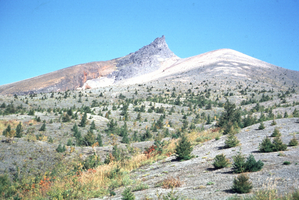 The dune-like surface in the foreground consists of pyroclastic surge deposits from the 1929 eruption of Komagatake. This 1991 S-flank view shows Kengamine (center), the summit of Komagatake, which is the rim of a large scarp that formed when the summit collapsed to the east (right). Photo by Shinji Takarada, 1991 (Geological Survey of Japan).