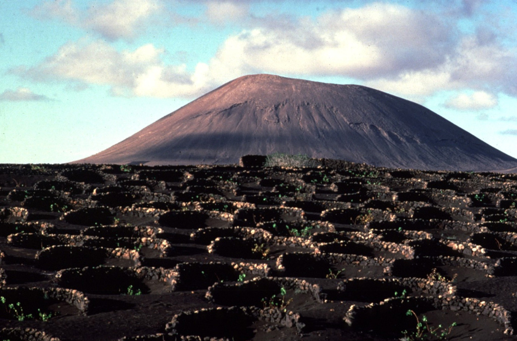 The circular stone-lined rings in the foreground of this Lanzarote cinder cone are the product of an innovative agricultural technique to enable crop growth on this arid, wind-swept island.  Low stone walls constructed around small craterform depressions provide shelter from strong winds, permitting the growth of grape vines and fig trees. Copyrighted photo by Katia and Maurice Krafft, 1977.