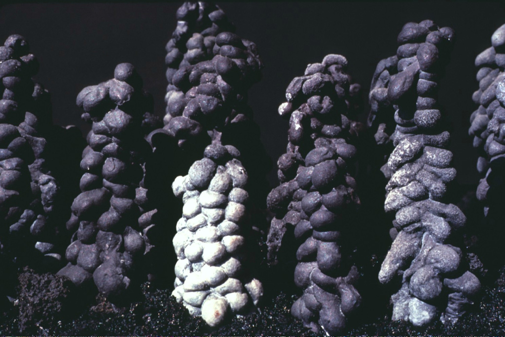 These unusual-looking lava stalagmites were formed when molten lava dripped from the ceiling of an active lava tube on Lanzarote Island.  Corresponding lava stalactites hang from the ceiling of the lava tubes.  The scale of these stalagmites is not stated, but may be a few tens of centimeters.  Lava tubes are prominent features in the 1730-36 lava fields of Lanzarote. Copyrighted photo by Katia and Maurice Krafft, 1977.