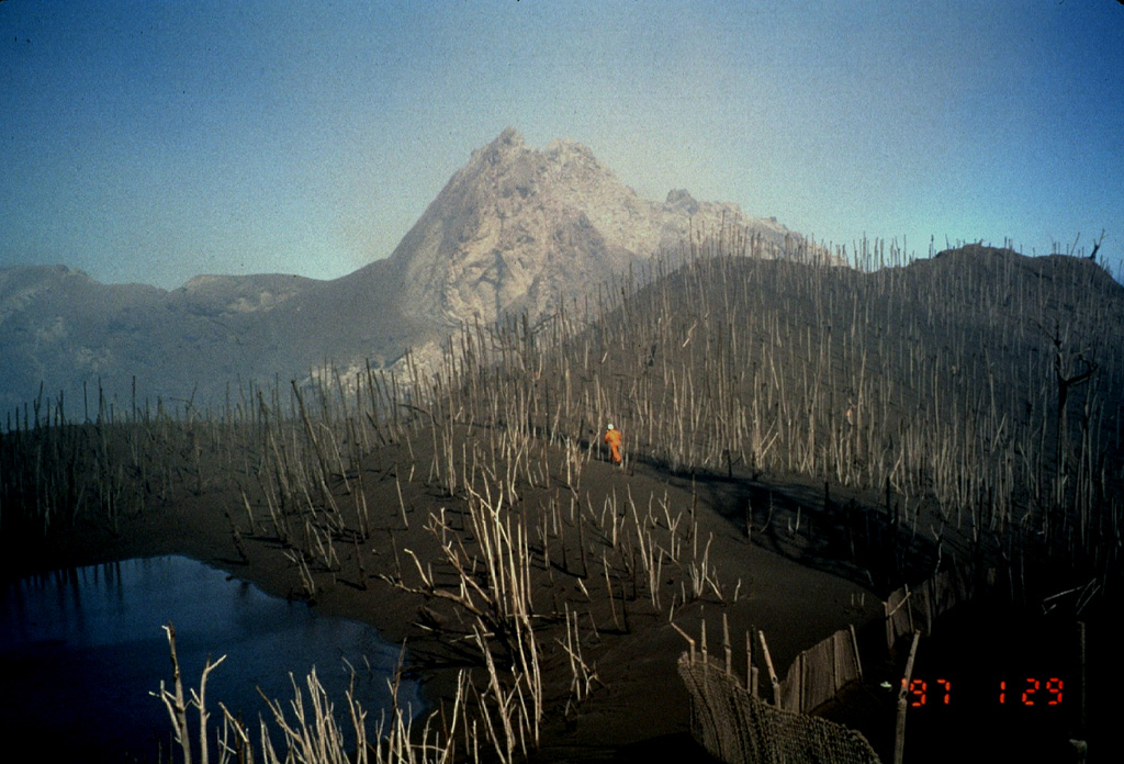 A Montserrat Volcano Observatory scientist observes the growing lava dome at Soufrière Hills on February 29, 1997.  A lava spine, informally referred to as the whaleback spine, caps the dome and was one of many spines that grew and collapsed during the course of growth of the lava dome.  Ejecta from explosive eruptions has denuded trees of leaves at Chances Peak in the foreground, west of the lava dome.  Chances Pond (lower left), located along the western rim of the summit crater, existed prior to the 1995 eruption. Photo by Mark Davies, 1997 (Montserrat Volcano Observatory).