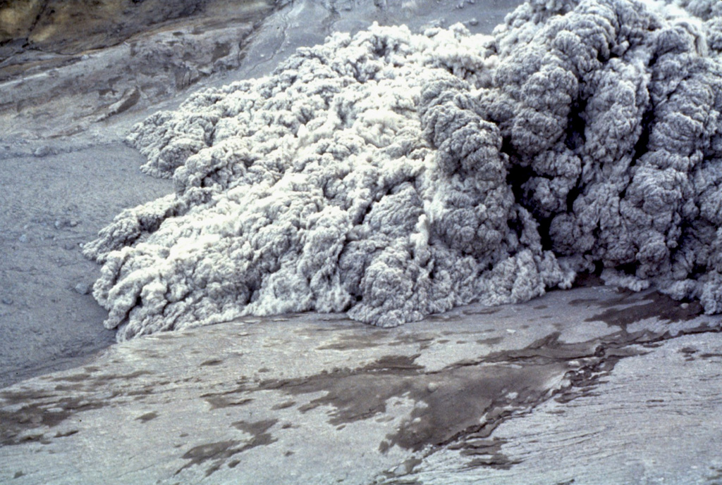 The roiling front of an advancing pyroclastic flow sweeps down the Tar River delta on January 16, 1997.  The cauliflower-like clouds of hot gas and ash rise above a basal bedload of vesiculating blocks and pumice from the summit lava dome.  This was one of many pyroclastic flows produced by multiple collapses of the oversteepened dome growing in the summit crater of Soufrière Hills volcano. Photo by Richard Herd, 1997 (Montserrat Volcano Observatory).