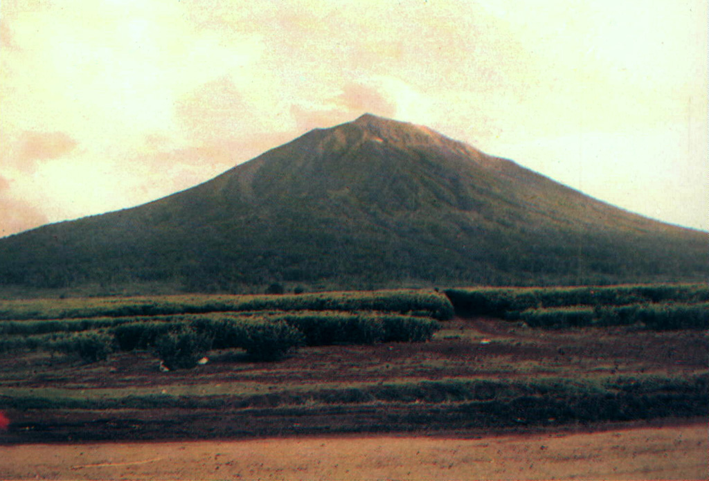 Kerinci volcano towers above tea plantations near its southern flank. The volcano is the most prominent feature of the massive Kerinci Seblat National Park, which stretches along a 345-km-long section of Sumatra. A plume is often seen at the summit of Kerinci, which is one of the most active volcanoes in Sumatra. Photo by D. Rochendi, 1984 (Volcanological Survey of Indonesia).