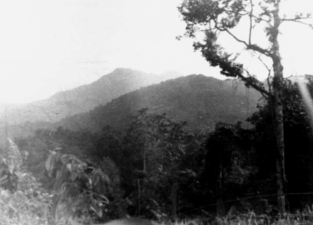Sumatra's Sumbing has a complicated summit region containing several crater remnants and a 180-m-long crater lake. The forested volcano is seen here from Renah Kemumu village on the WSW flank. Two historical eruptions of Gunung Sumbing occurred in 1909 and 1921, producing moderate explosions. Hot springs occur at the SW foot of the volcano. Photo by M.S. Santoso, 1980 (Volcanological Survey of Indonesia).