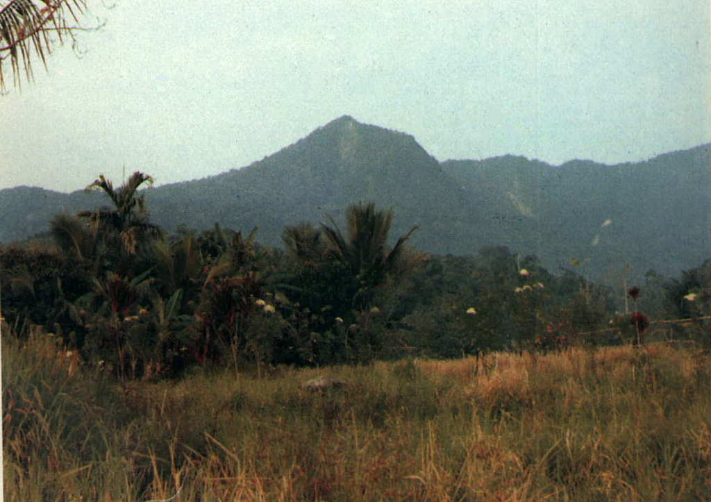 The Beriti Besar volcano, part of the Hululais volcanic ridge, rises above Mubai village on the Semalako Plain in SW Sumatra. This NW-SE-trending massif that contains a 1.2-km-wide crater breached to the NE. The age of its latest eruptions is not known, although fumaroles occur in the crater walls. Photo by Kasturian, 1982 (Volcanological Survey of Indonesia).