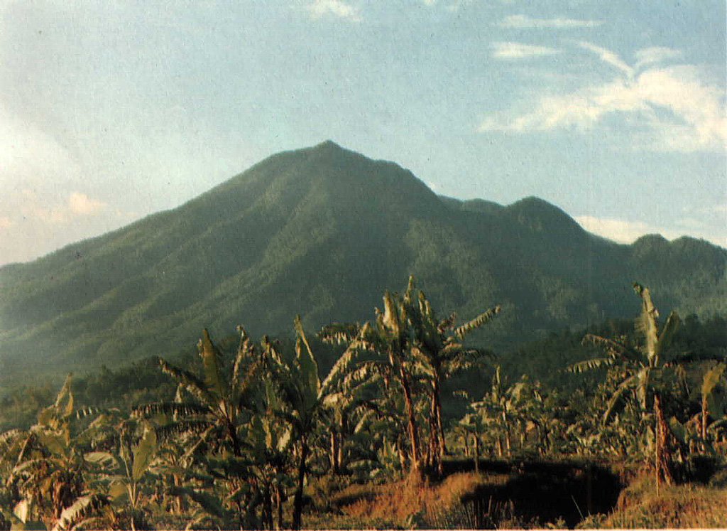 Gunung Salak is seen here from a village on the NE flank. Smaller cones are on the SW flank and at the northern foot of the forested, extensively eroded volcano. Two large breached craters are at the summit. Historical eruptions from have consisted of phreatic explosions from craters on the western flank. Salak volcano has been the site of extensive geothermal exploration. Photo courtesy of Volcanological Survey of Indonesia, 1982.