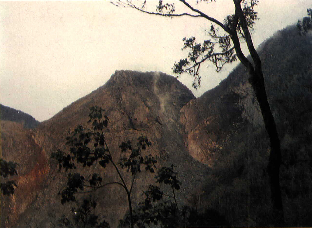 A new lava dome, Anak Ranakah (center), formed in 1987 on the outer flanks of the poorly known Poco Leok caldera on western Flores Island. The new dome is located in an area without previous historical eruptions at the base of the large older lava dome, Gunung Ranakah. Anak Ranakah, seen here from the SW, is part of an arcuate group of lava domes extending westward from Gunung Ranakah. Photo by Willem Rohi, 1988 (Volcanological Survey of Indonesia).