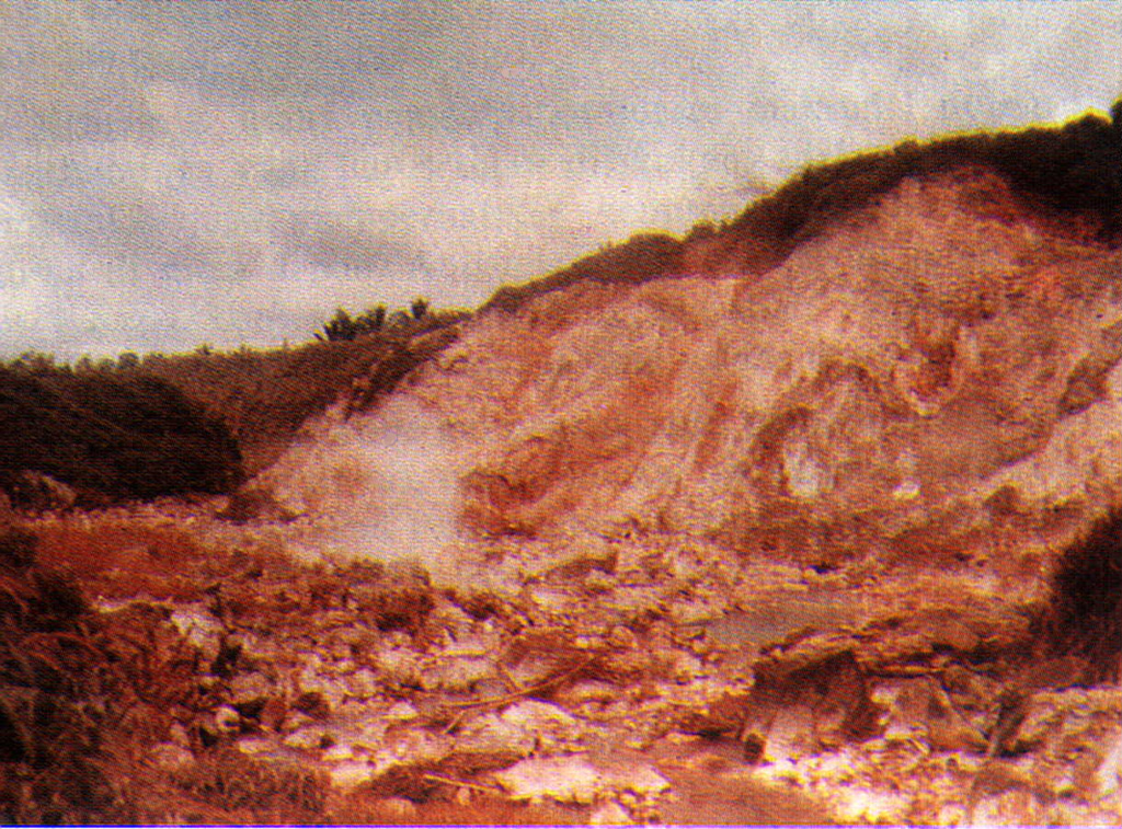 A fumarole rises above an area of extensive hydrothermal alteration at Raindang, on the western flank of Gunung Lahendong, one of several post-caldera cones in the 20 x 30 km Tondano caldera in northern Sulawesi.  The caldera floor is dotted with pyroclastic cones, obsidian flows, and numerous hydrothermal areas.  No historical eruptions are known from the caldera itself, although several stratovolcanoes constructed along its rim have been historically active.  Photo by Sukiman Kamal, 1979 (Volcanological Survey of Indonesia).