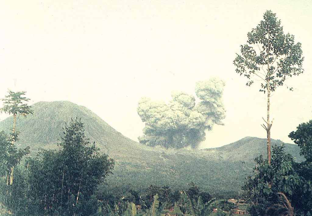 An ash column rises above Tompaluan crater between Lokon and Empung volcanoes in November 1991.  Explosive eruptions began on 17 May 1991, continuing at a rate of 7-16 a week.  About 10,000 people evacuated following a 25 October explosion that produced 0.015 cu km tephra and was accompanied by a pyroclastic flow that traveled 1.5 km to the east.  The number of explosions decreased in November and December, and the eruption ended in January.  A small lava plug appeared in the crater after the main eruption.  Photo by Syamsul Rizal, 1991 (Volcanological Survey of Indonesia).