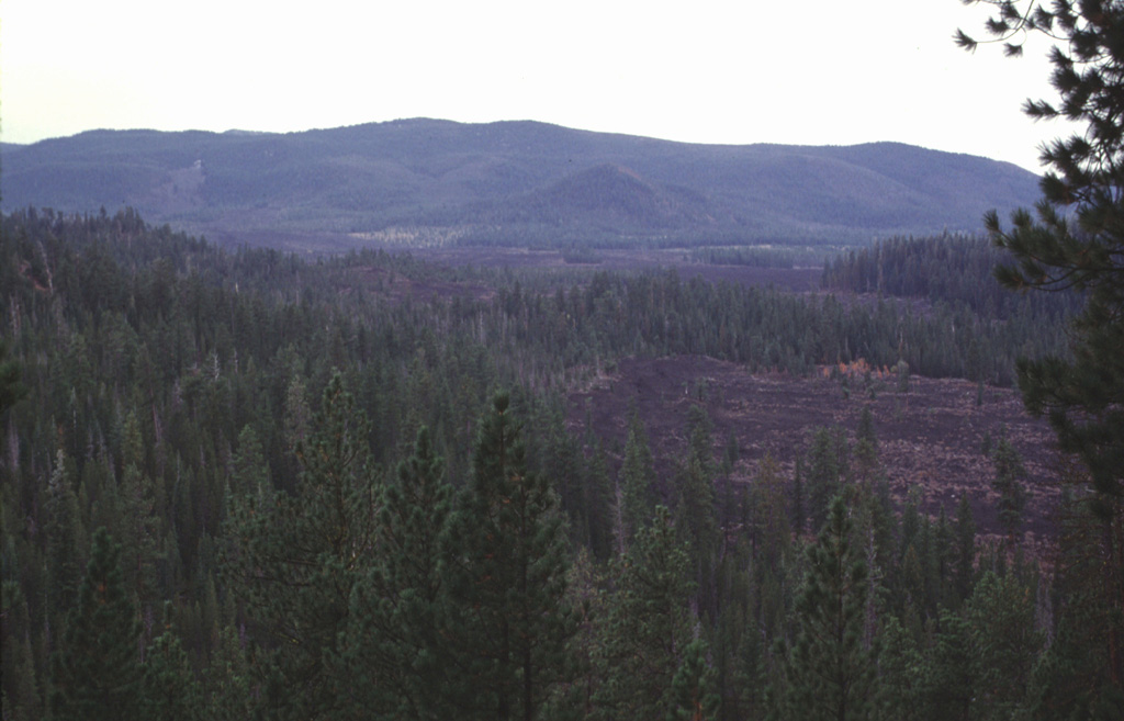Three lava flows that erupted from fissure vents on the NW rift zone of Newberry volcano about 7,000 years ago can be seen in this photo. The Forest Road Flow in the foreground was one of the smallest. Behind it are the Lava Cast Forest and Lava Cascades flows. The latter traveled about 8 km from its vent. The northern rim of Newberry caldera forms the ridge on the horizon. Photo by Lee Siebert, 1997 (Smithsonian Institution).