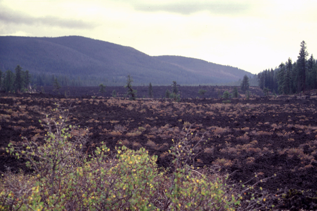 The Lava Cascade lava flow erupted from the Newberry NW rift zone about 7,000 years ago and traveled about 8 km NW from its vent. The forested area to the far right is one of three large kipukas composed of older lavas that were surrounded by the flow. The flow in the foreground, called the Lava Cast Forest flow, originated from another fissure at about the same time. The NW rim of Newberry caldera rises in the distance. Photo by Lee Siebert, 1977 (Smithsonian Institution).