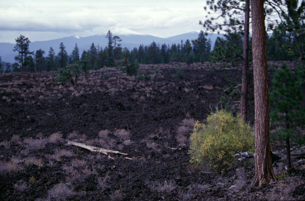 The Lava Cast Forest Flow was one of several lava flows erupted from the upper NW rift zone of Newberry volcano about 7,000 years ago. The flow is named for its abundant casts of trees that formed when lava chilled and cooled around standing or fallen tree trunks. Photo by Lee Siebert, 1997 (Smithsonian Institution).