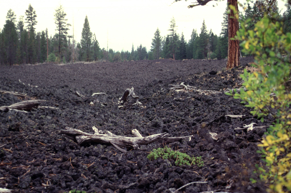 The small Forest Road lava flow that was erupted from fissures on the central NW rift zone of Newberry. This lava flow, one of the smallest from the NW rift zone of Newberry volcano, originated from a fissure vent immediately NW of the Lava Cast Forest flow. Photo by Lee Siebert, 1997 (Smithsonian Institution).