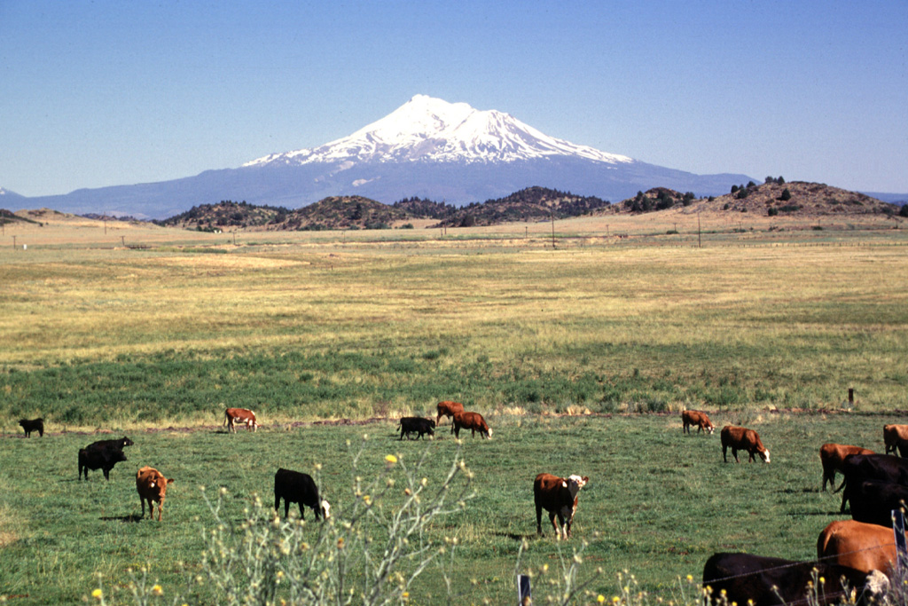 The forested hills and rolling pasture lands near the town of Montague are part of a massive debris avalanche deposit that originated from Mount Shasta during the Pleistocene. The hills consist of remnants of the former edifice of Mount Shasta that were transported relatively intact to this point, about 40 km NW of the volcano. The origin of the hills remained enigmatic until volcanologists noticed the resemblance to the avalanche deposit produced at Mount St. Helens in 1980. Photo by Lee Siebert, 1998 (Smithsonian Institution).