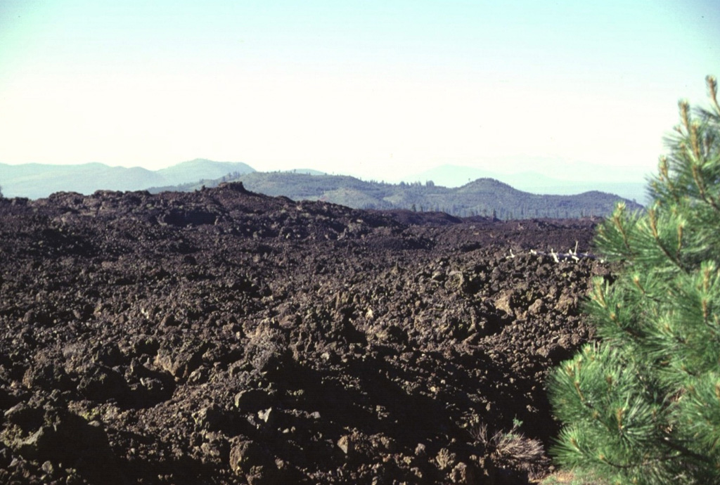 The most voluminous Holocene lava flow on the southern flank of Medicine Lake volcano is known as the Burnt Lava flow.  The flow, which originated from High Hole Crater and nearby fissure vents, covers 37 km2.  The flow is dominantly aa lava, but also includes some pahoehoe.  This photo shows the NW margin of the flow, which was erupted about 2750 years ago. Photo by Lee Siebert, 1998 (Smithsonian Institution).